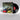 Standard Black Vinyl 