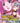 Soichiro Hoshi / Aya Hisakawa / Kazuki Yao / Shin-ichiro Miki - Tenjho Tenge Collection