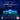 Wierner Philharmoniker - Summer Night Concert 2026