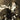 Various Artists - Eccentric Soul: The Cuca Label