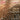 John eliot Gardiner - Xoedipus Rex