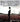 Bruce Springsteen & The E-Street Band - London Calling: Live In Hyde Park