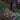 M.Geddes Gengras - Guest List