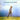 Taj Mahal - Giant Steps & De Old Folks At Home