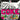 Coke - Coke