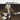 Hank Williams - Gold