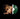 Maggie Rogers - Dont Forget Me