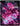 Stuart Gordon/Barbara Crampton/Jeffrey Combs/Ken Foree - From Beyond