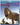 Nigel Paterson / John Hurt - Planet Dinosaur 3d