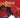 Meat Loaf - Bat Out Of Hell