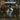 Madness - Absolutely