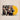 The Amazons - 21st Century Fiction