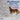Trio Zingara - Ghost / Archduke Trio