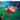 Little Feat - Sailin Shoes
