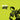 Birdie - Some Dusty