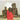 Dead Can Dance - Spleen & Ideal