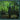 Daniel Figgis - Engine Detail Digressions 1-4