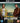 Quentin Tarantino / Leonardo Di Caprio / Brad Pitt / Margot Robbie - Once Upon A Time In... Hollywood