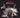 White Rabbits - Its Frightening