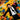 The Divine Comedy - Charmed Life: The Best Of