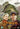 Richard Carpenter - Stanleys Dragon The Complete Series