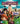 Genndy Tartakovsky / Adam Sandler / Selena Gomez - Hotel Transylvania 3: A Monster Vacation