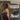 Sharon Shannon - Now