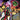 A Tribe Called Quest - Beats Rhymes & Life