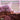 Richard trinity college choir Marlow - Hymns From Cambridge