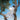 Eaves Wilder - Little Miss Sunshine