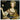 Les Arts Florissants / William Christie - Music For Queen Caroline