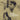 Glen Campbell - Capitol Years 65-77