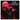Ian Hunter - All The Young Dudes: Live