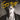 Chilly Gonzales - Gonzo