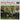 John Mayall With Eric Clapton - Bluesbreakers
