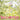 Tuff City Kids - Adoldesscent