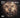 50 Cent - Animal Ambition An Untamed Desire To Win