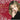 Barbra Streisand - Classic Christmas Album