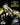 Noel Willman - Reptile