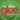 Glee Cast - Glee The Music: The Christmas Album