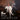 Rod Stewart with Jools Holland - Swing Fever