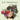 Kt Tunstall - Nut
