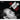 Jimmy Giuffre Trio - Jimmy Giuffre 3 & 4 / New York Concerts