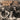 Steely Dan - Lost Gaucho