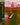 Shinji Somai / Noriko Hayami / Minori Terada / Kiriko Shimizu - Love Hotel