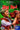 Norman Tokar / Walter Pidgeon - Big Red