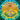 Grateful Dead - Sunshine Daydream