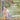 Taneyev Quartet - Complete String Quartets Vol 4