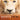 Ost - White Lion