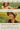 Ang Lee/Emma Thompson/Alan Rickman /Kate Winslet - Sense & Sensibility
